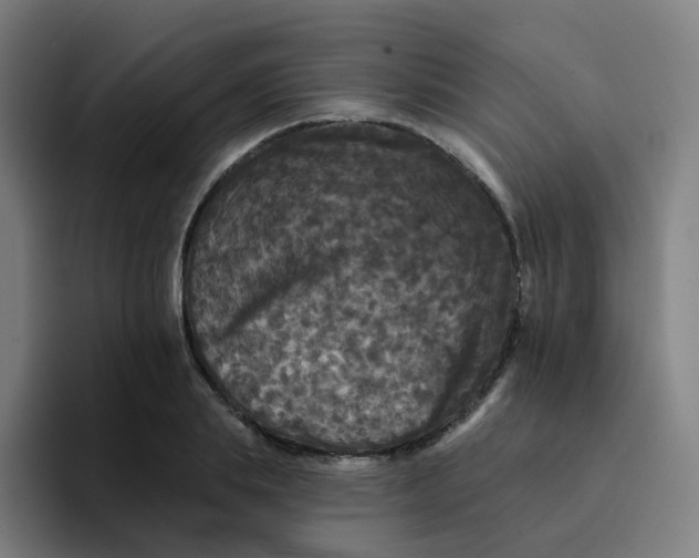 X0000094190839200711161746