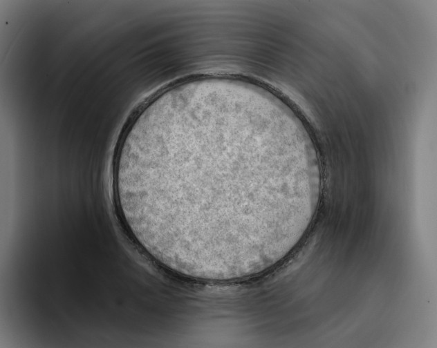 X0000094190840200711161746