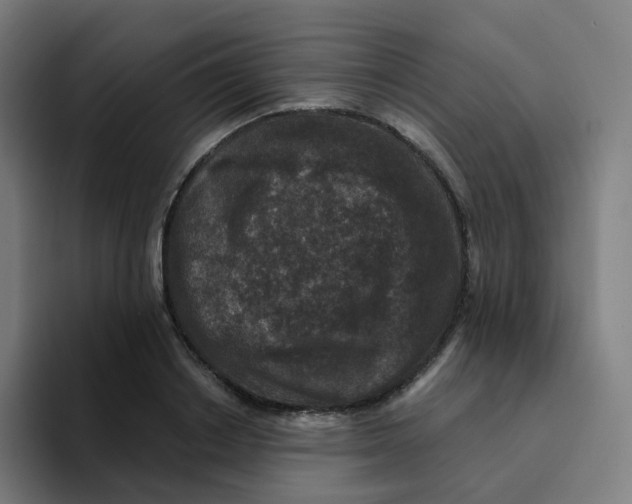 X0000094190842200711161746