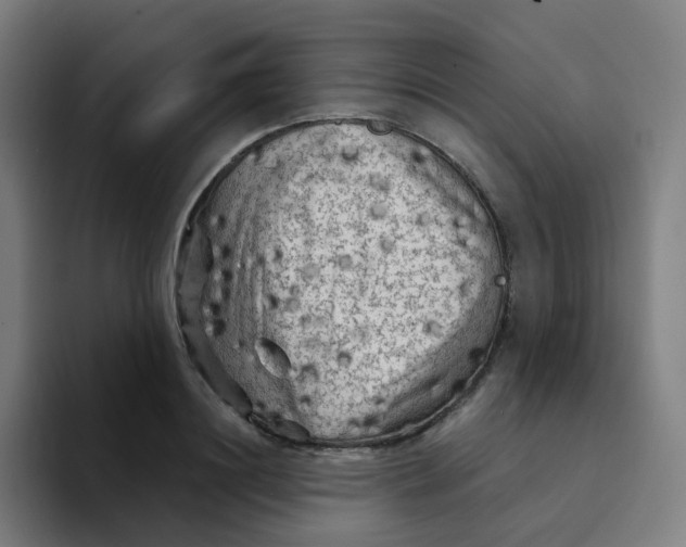 X0000094190844200711161746