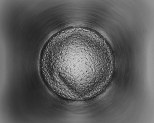 X0000094190845200711161746