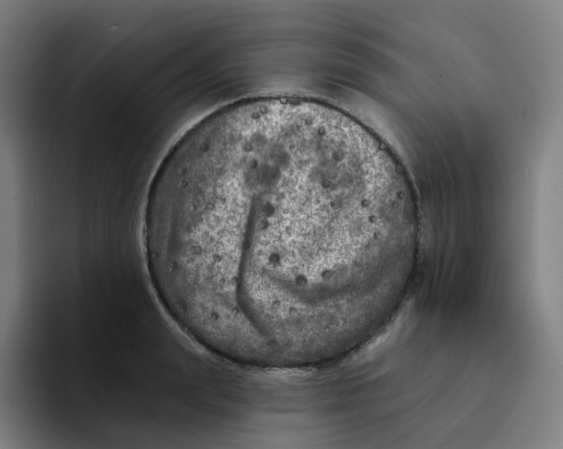 X0000094190847200711161746