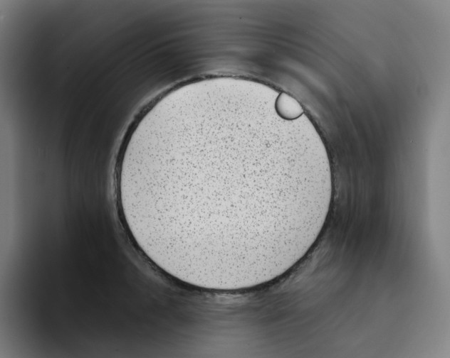 X0000094190848200711161746