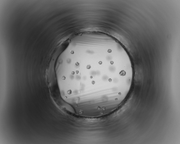 X0000094190849200711161746