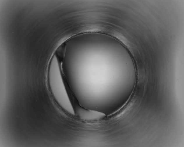 X0000094190850200711161746