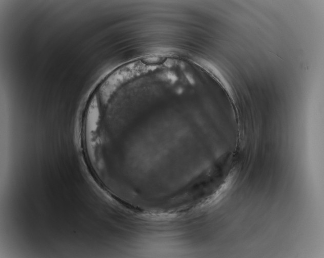 X0000094190851200711161746