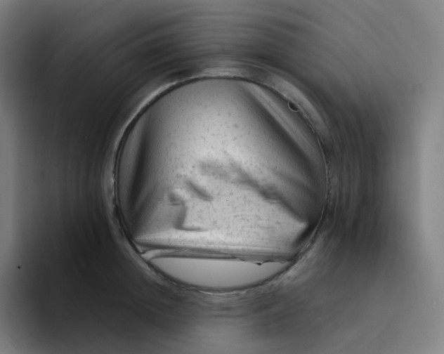 X0000094190852200711161746