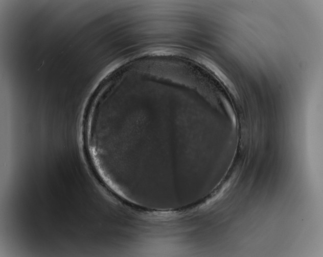 X0000094190853200711161746