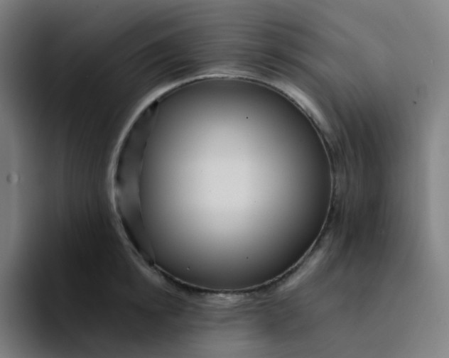 X0000094190854200711161746