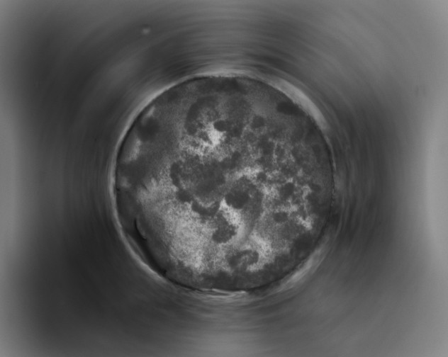 X0000094190855200711161746