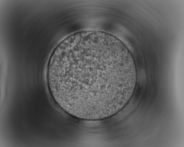 X0000094190856200711161746