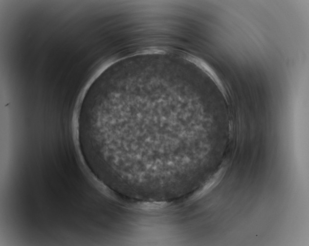 X0000094190859200711161746