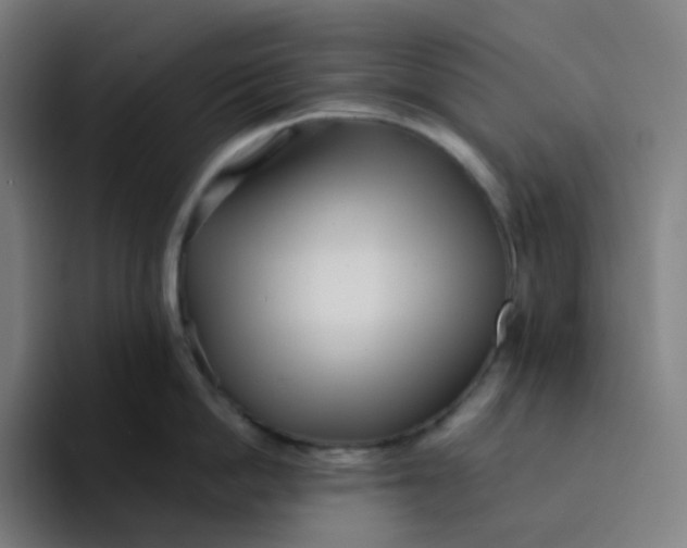 X0000094190862200711161747