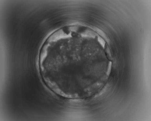 X0000094190863200711161747