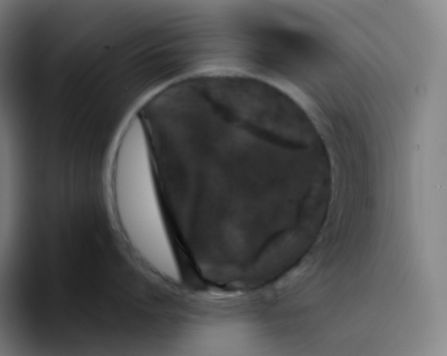 X0000094190864200711161747