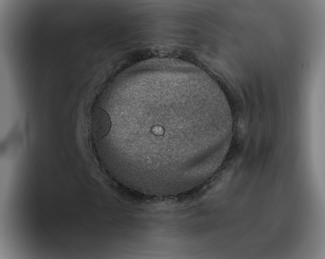 X0000094190865200711161746