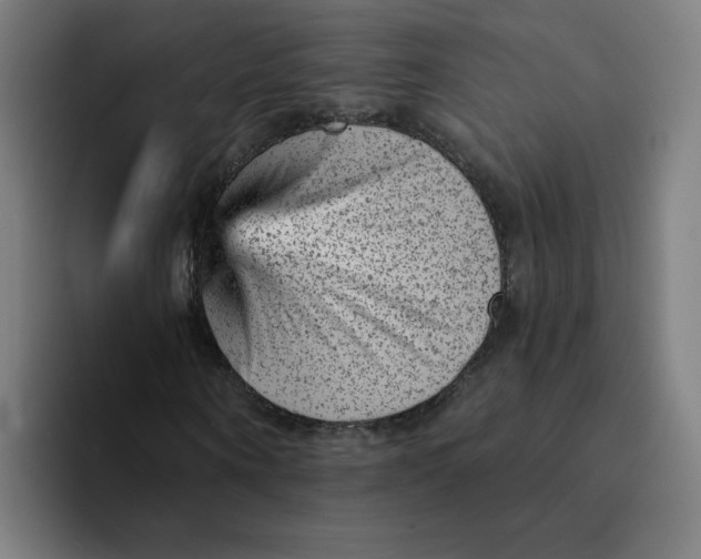 X0000094190866200711161746