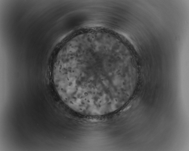 X0000094190871200711161746