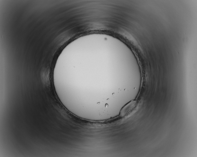 X0000094190873200711161746