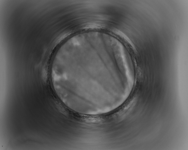 X0000094190874200711161746