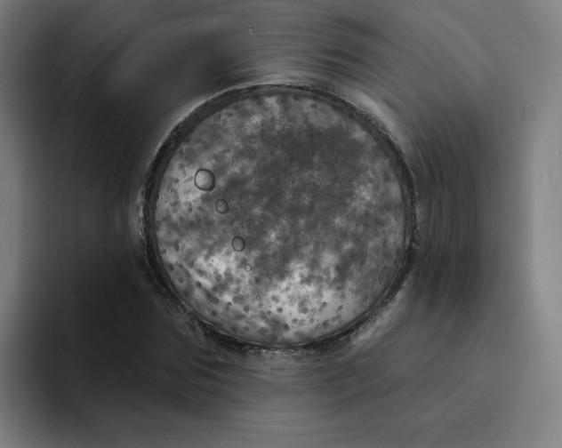 X0000094190875200711161746