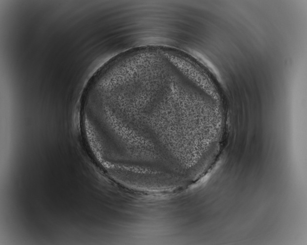 X0000094190877200711161746