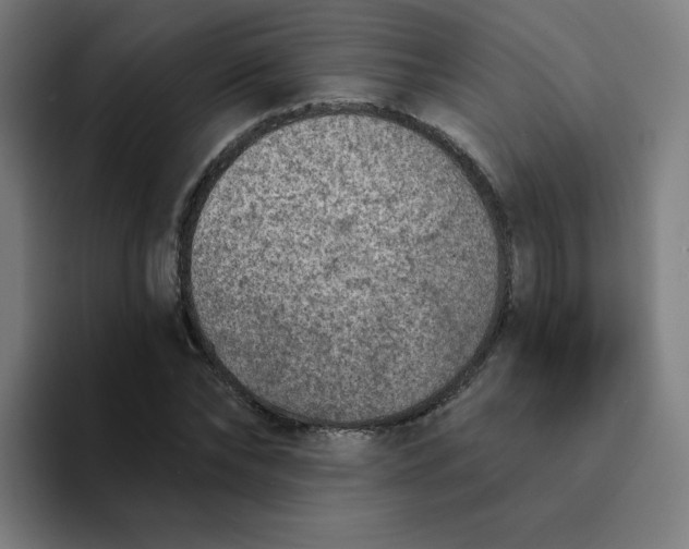 X0000094190878200711161746