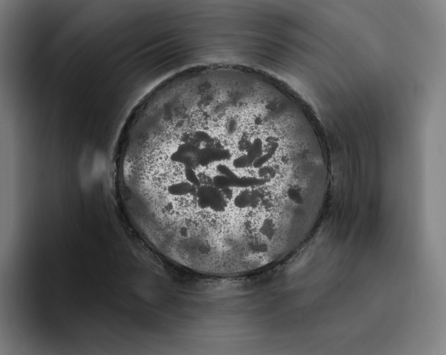 X0000094190879200711161746