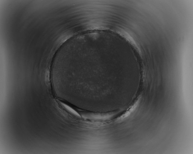 X0000094190881200711161746