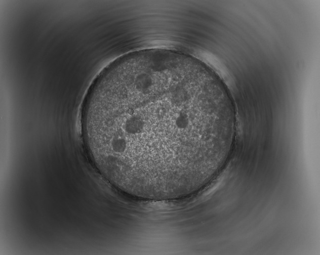 X0000094190883200711161746