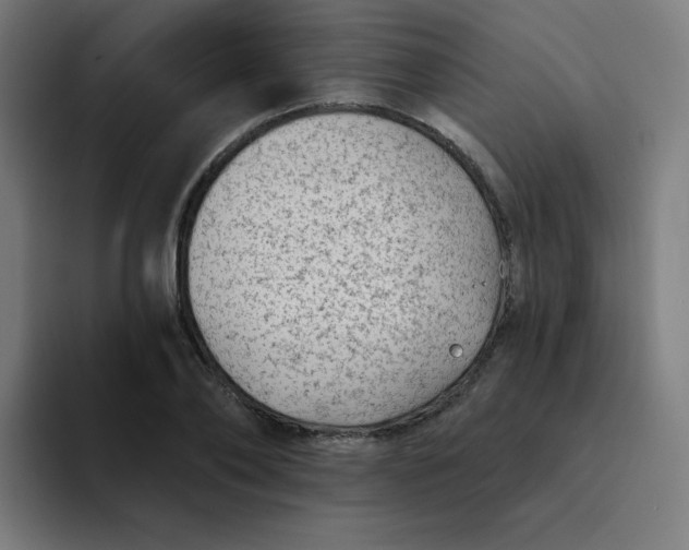 X0000094190886200711161746