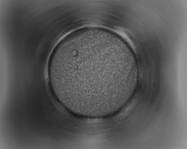 X0000094190887200711161746