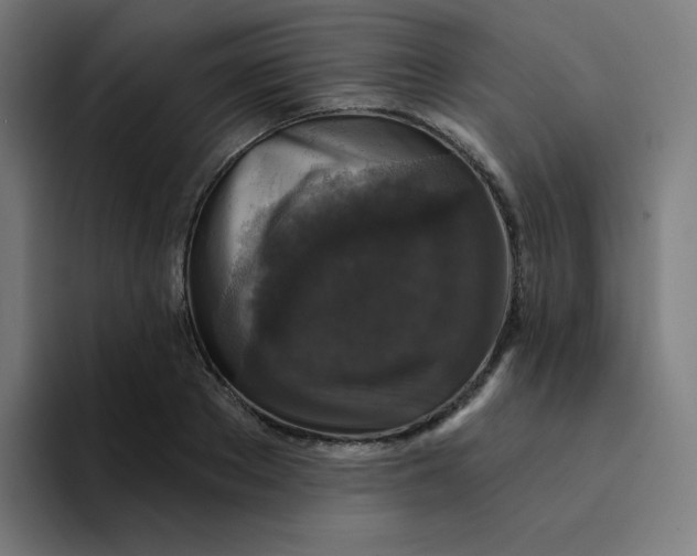 X0000094190889200711161746