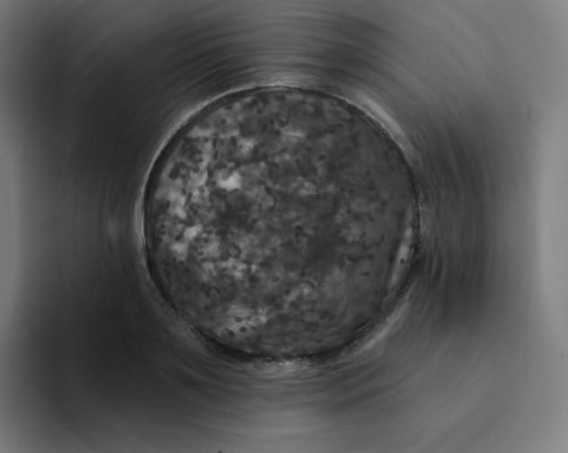 X0000094190891200711161746