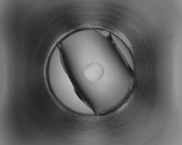 X0000094190893200711161746