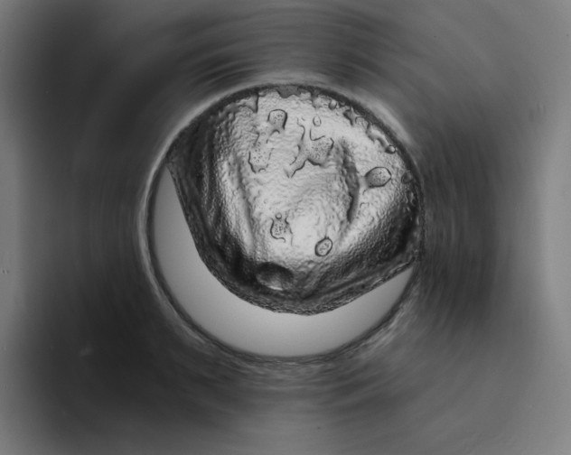 X0000094190895200711161746