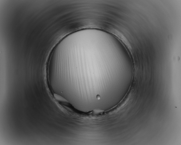 X0000094190898200711161745