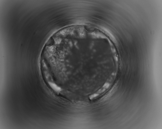 X0000094190899200711161745