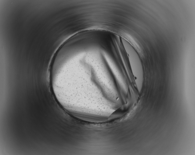 X0000094190900200711161745