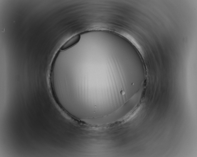 X0000094190901200711161745