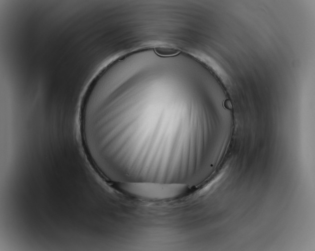 X0000094190902200711161745