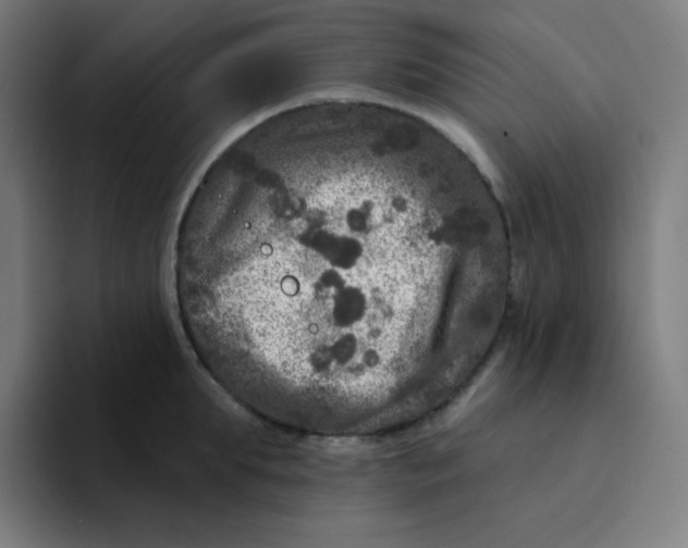 X0000094190903200711161745