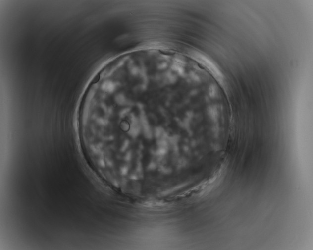 X0000094190907200711161745