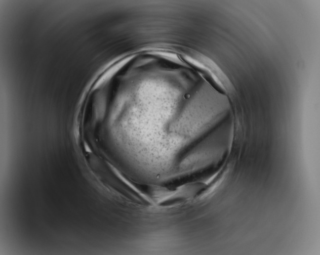 X0000094190908200711161745