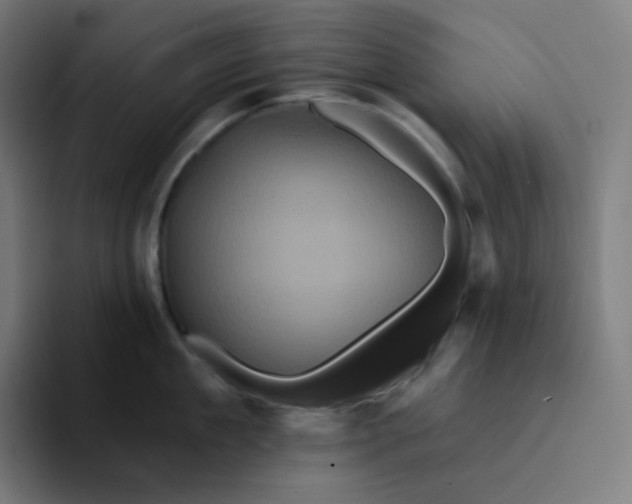 X0000094190909200711161745