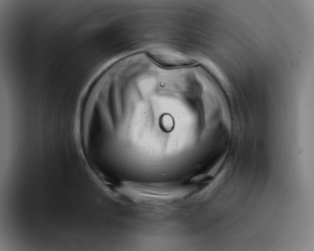 X0000094190910200711161745