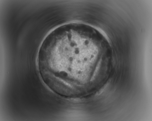 X0000094190911200711161745