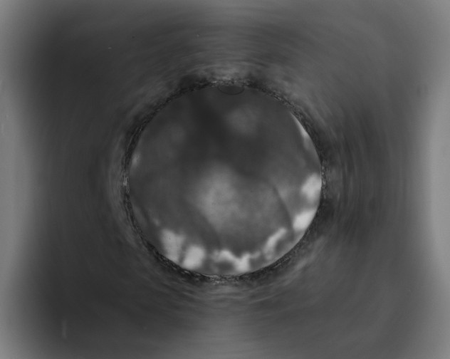 X0000094190913200711161745