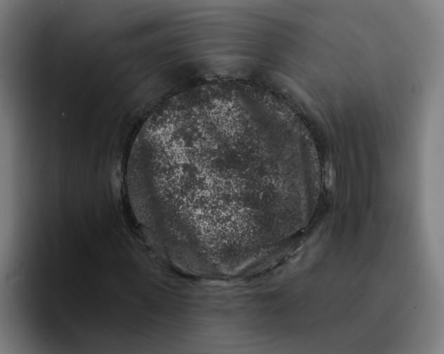 X0000094190915200711161745