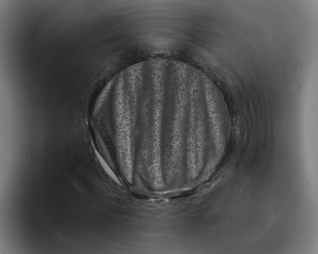 X0000094190916200711161745